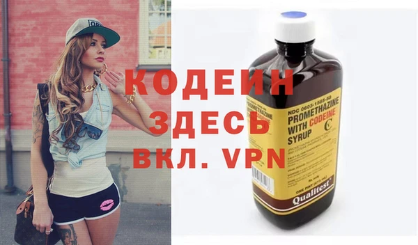 дмт Ельня