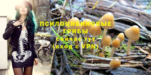 марки nbome Елабуга