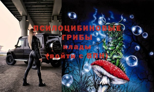 мет Елизово