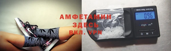 дмт Ельня