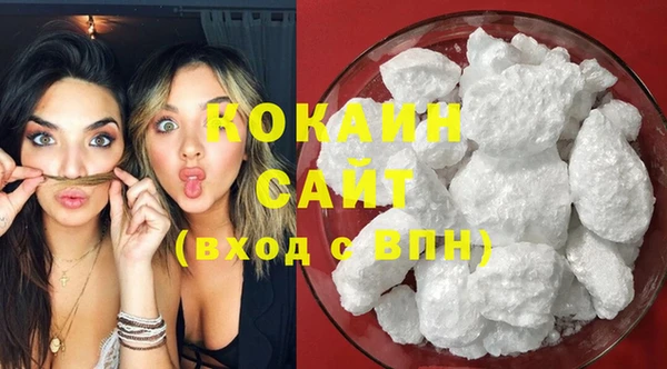 дмт Ельня