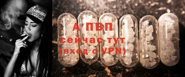 дмт Ельня