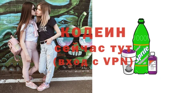 мет Елизово