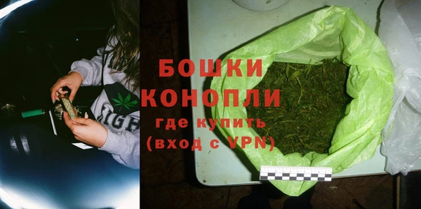 дмт Ельня