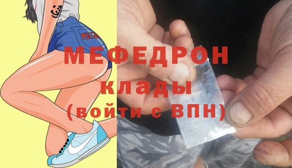 дмт Ельня