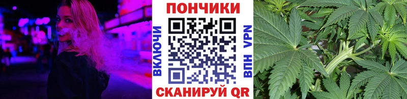 Бошки марихуана SATIVA & INDICA  Купить  Егорьевск 
